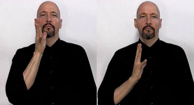 <p>version 2: thumbs up hand (thumb still touch chin) then same as ver1.</p>