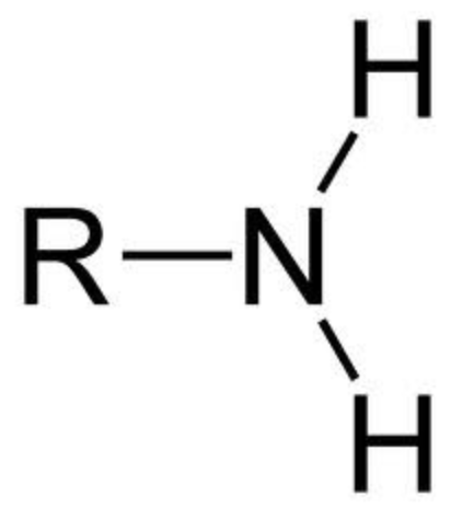 <p>-NH2 (functional group)</p>