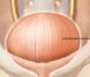 <p>what is this?</p>