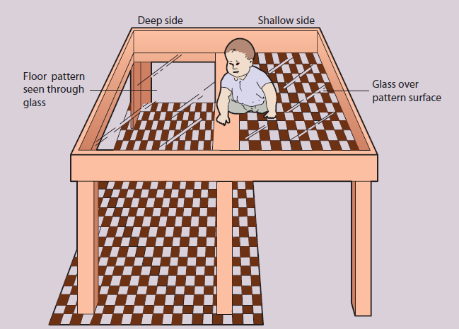 <p>• a piece of apparatus used to study depth perception in infants, consisting of a glass table with a checkerboard pattern immediately beneath the glass on one half (shallow side) and on the floor below on the other half (deep side).</p>