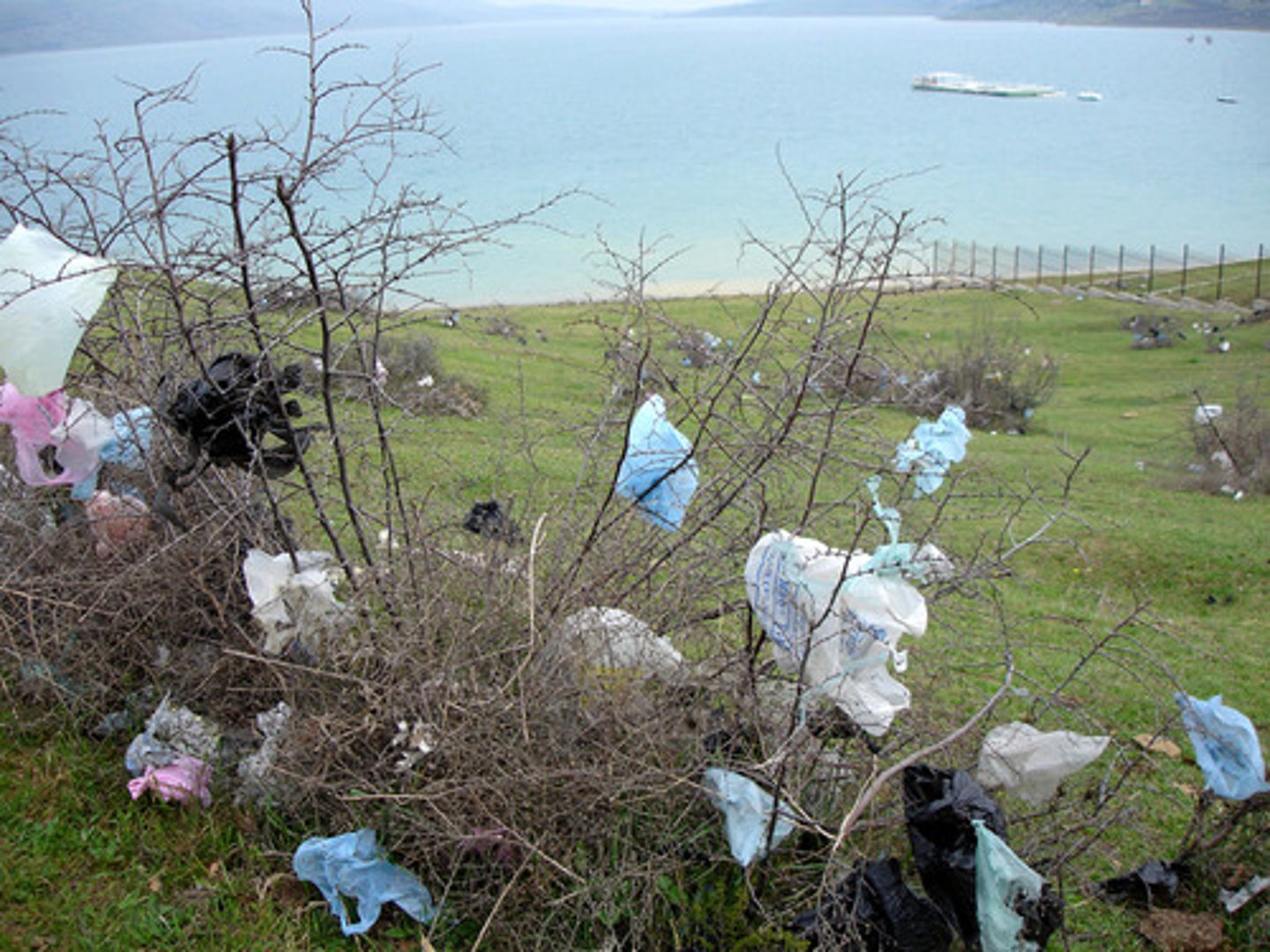 <p>nằm bừa bãi</p>