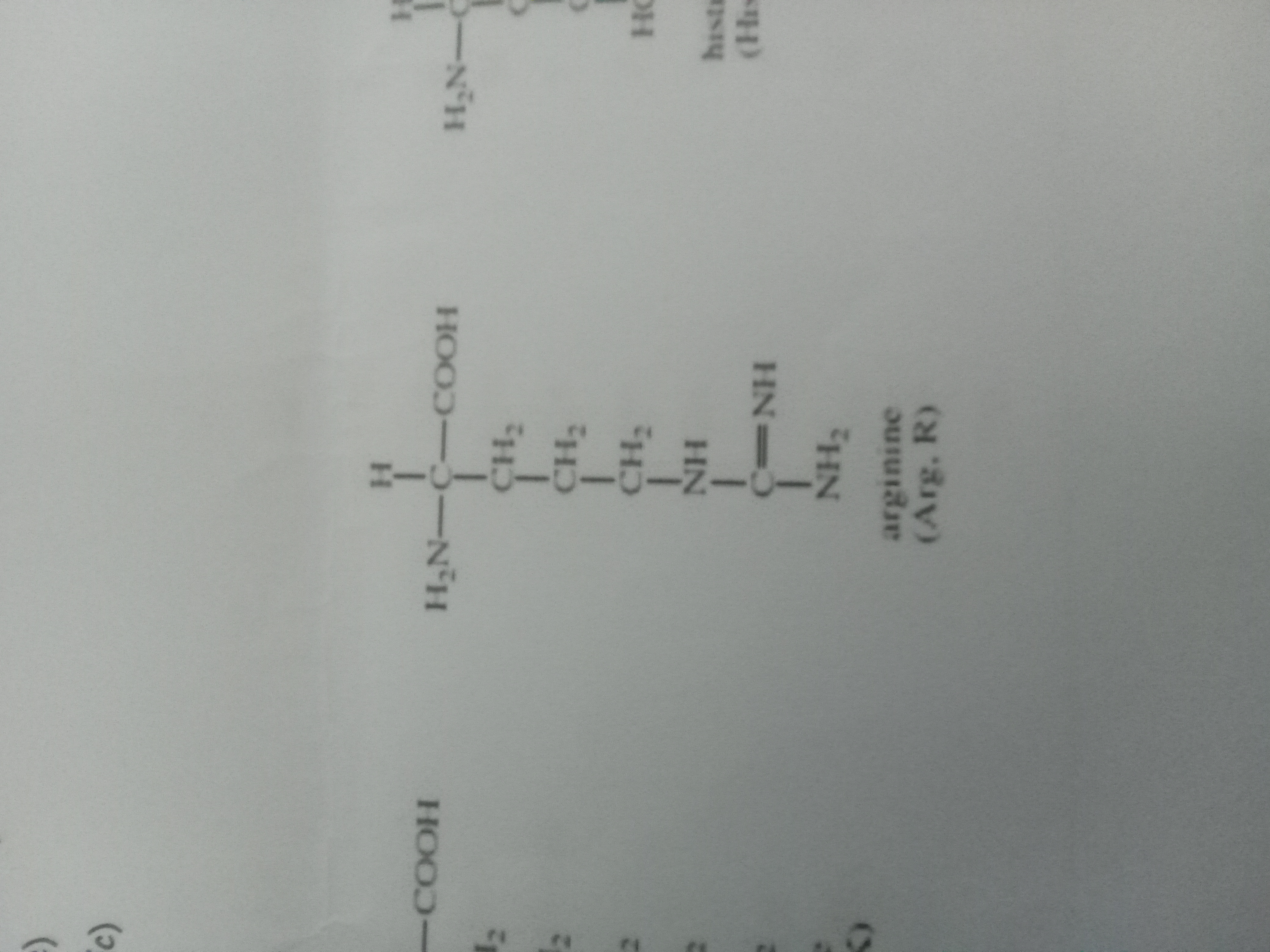 <p>Arginine </p>