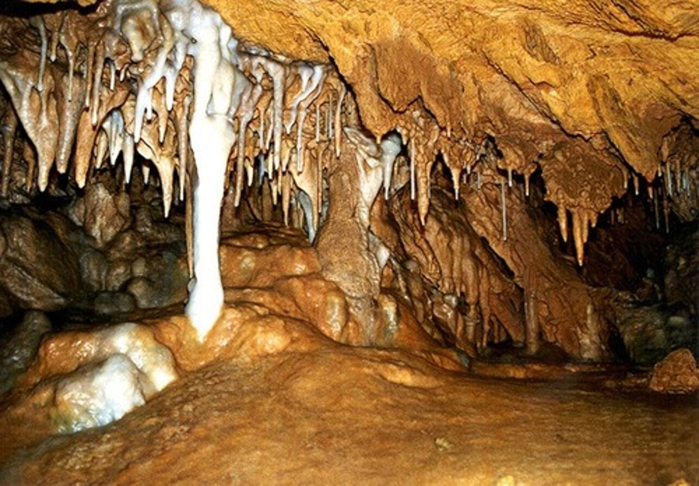 <p>hang đá vôi<br>(= thạch khôi nham + động quật)</p>