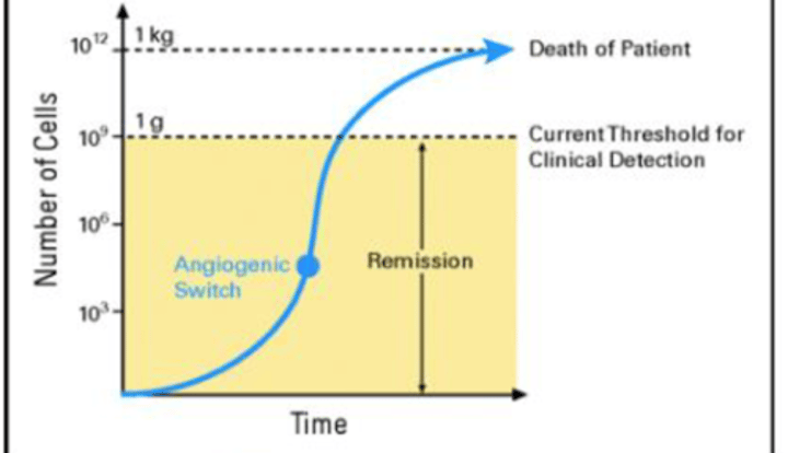 <p>exponential early growth of cancer that slows down at later stages of development</p>