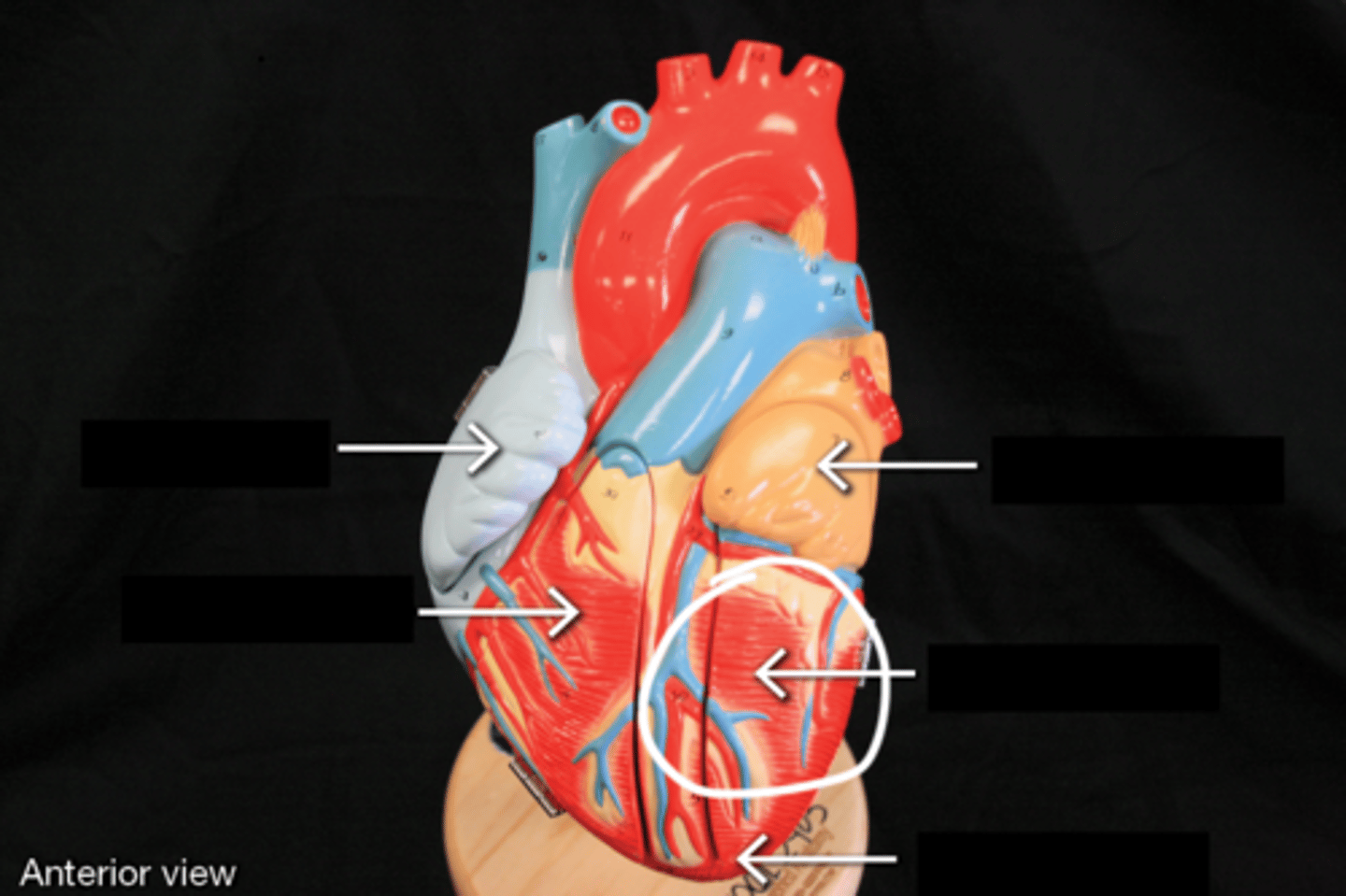 knowt flashcard image