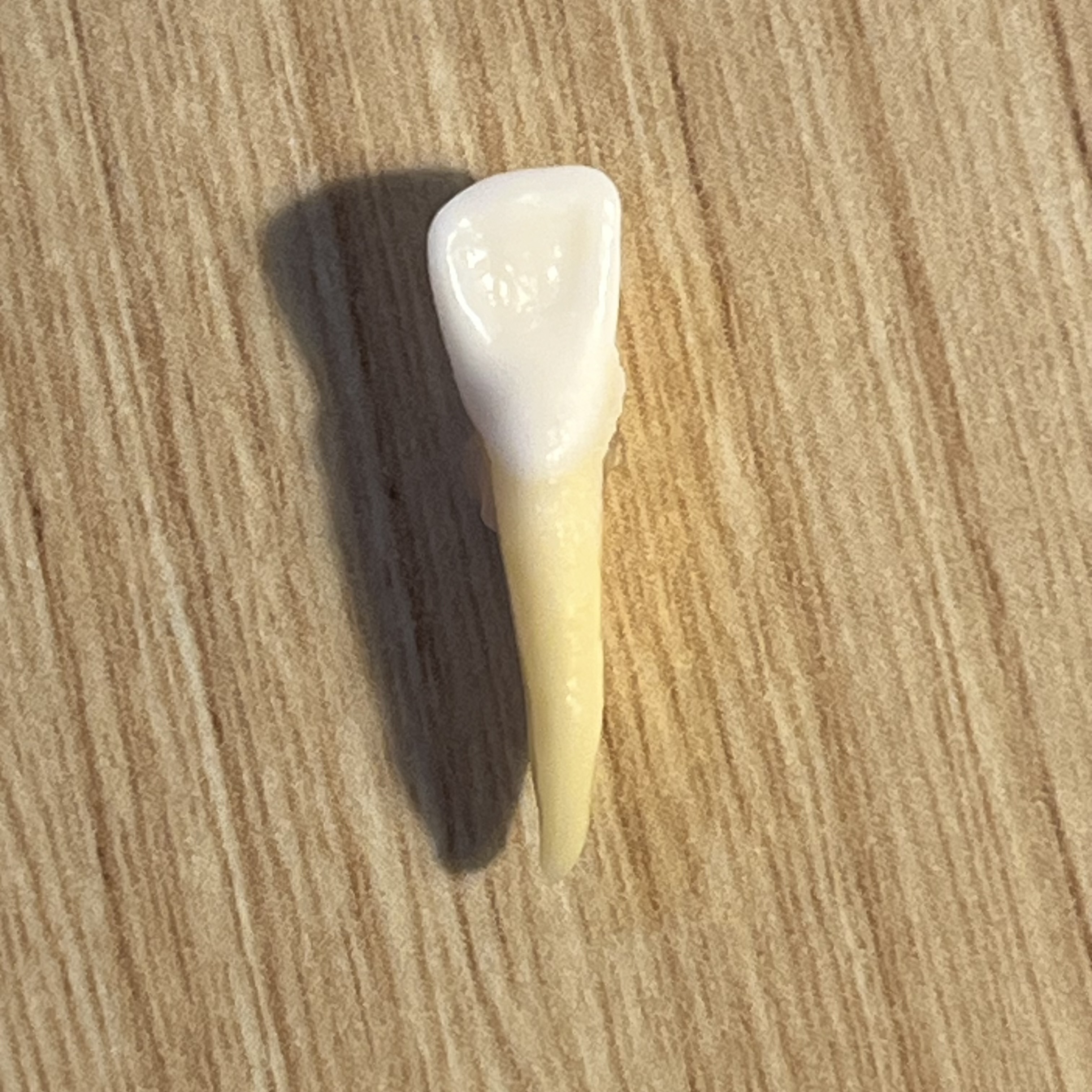 <p>What tooth is this (with view)?</p>