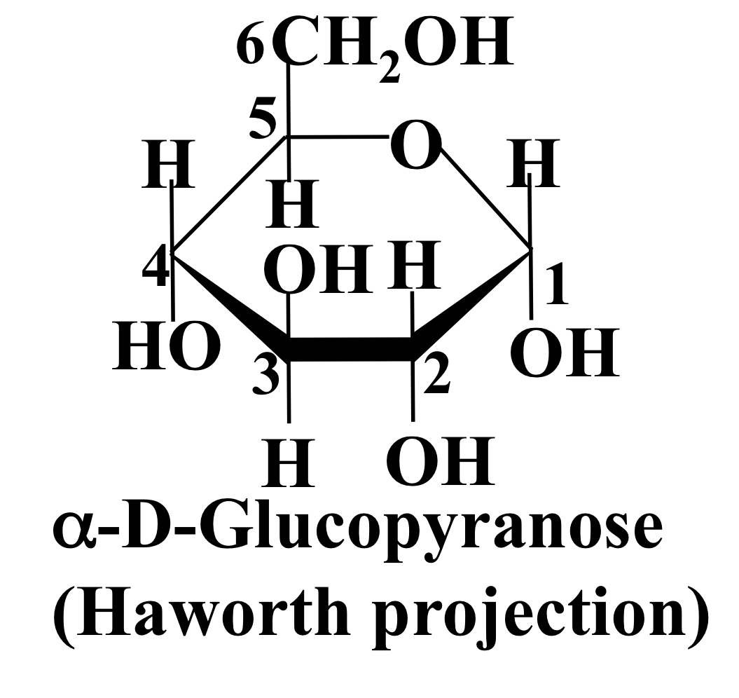 On C1, OH is **below** H