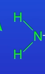 <p>Glycine</p><p>Smallest, simplest amino acid</p><p>Amino group is NH<sub>2</sub> and carboxylic acid group is COOH</p><p>Middle is CH<sub>2</sub></p><p></p><p>Therefore H<sub>2</sub>NCH<sub>2</sub>COOH</p><p></p>