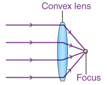 <ul><li><p><span style="background-color: transparent;"><span>When light passes from air into glass, its speed changes</span></span></p></li><li><p><span style="background-color: transparent;"><span>Because the lens is thicker in the middle, light slows down more at the centre than at the edges</span></span></p></li><li><p><span style="background-color: transparent;"><span>This difference in bending causes refraction towards the centre</span></span></p></li><li><p><span style="background-color: transparent;"><span>Parallel light rays converge and meet at the focal point in front of the lens</span></span></p></li><li><p><span style="background-color: transparent;"><span>Used to focus light</span></span></p></li></ul><p></p>