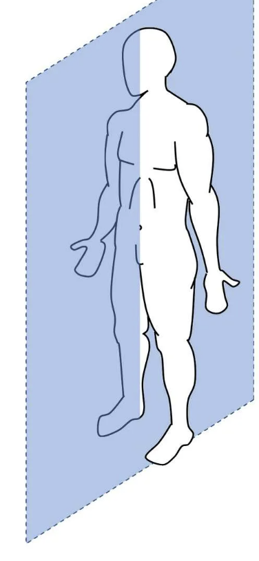 <p>what plane? what type of rotation? what axis?</p>