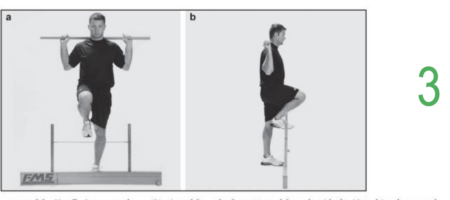 <p><strong>-Purpose:</strong> Evaluate single -leg stability and stride mechanics. </p><p><strong>-Key Observations:</strong> Hip flexion, ankle dorsiflexion, and trunk stability required</p><p><strong>-Common Compensations:</strong> Pelvic rotation or drop, Balance loss, Knee deviation (valgus).</p>
