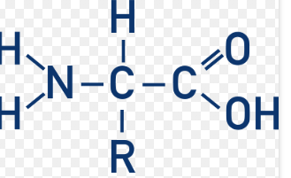 <p>What is the “R” called? </p>