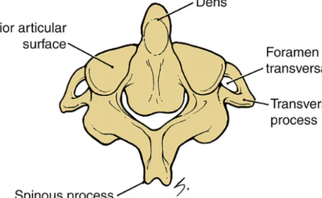 <p>What’s 5?</p>