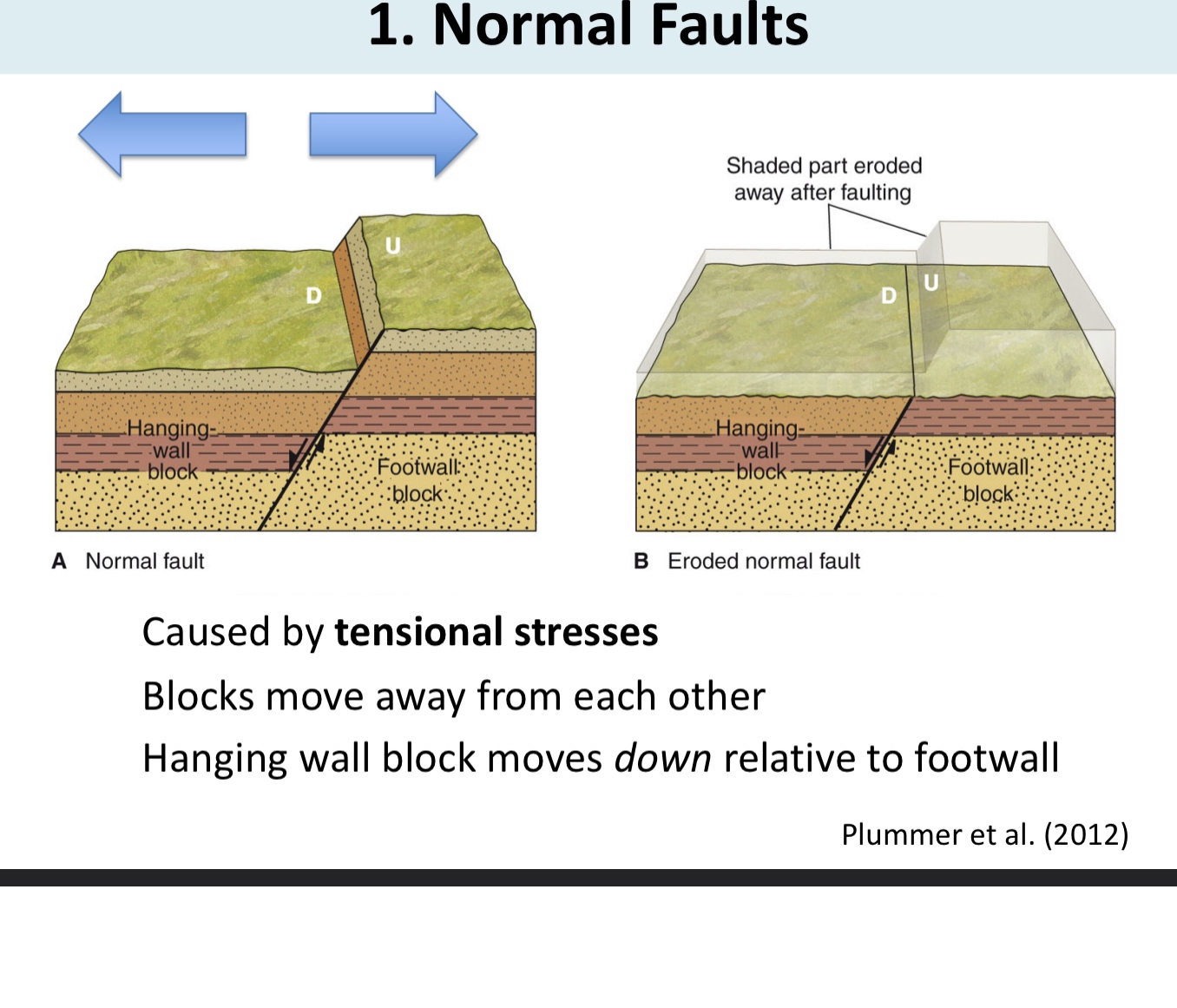 <p>Extensional or <strong>tensional stress</strong></p><p>Blocks <strong>move away</strong> from each other</p><p><strong>Hanging wall</strong> moves <strong><u>down</u></strong> <strong>foot wall</strong></p>