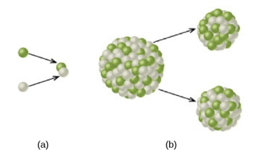 <p>In <strong>fusion (a)</strong>, light atomic nuclei join together to form a heavier nuclei, releasing energy in the process.(i.e. LIGHT to HEAVY)</p><p>In <strong>fission (b)</strong>, energy is produced by the breaking up of heavy, complex nuclei into lighter ones. (i.e. HEAVY to LIGHT)</p><p>ex. The first atomic bombs (Hiroshima and Nagasaki) were fission bombs, fusion bombs were developed in the 1950s, where they used a fission bomb to create enough heat for fusion</p>