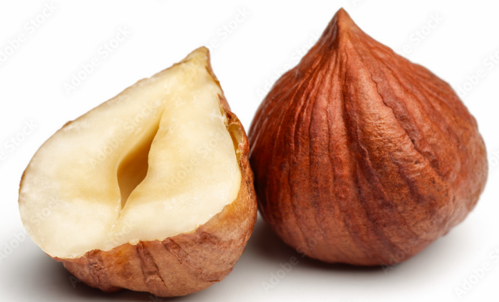 <ol><li><p>Hasselnöt är en nöt (enkel frukt)</p></li><li><p>Tror endast fruktämne med tanke på presentationens ordval?</p></li><li><p>En hasselnöt har en karpell, INGEN PLACENTATION??</p></li><li><p>MAN BRUKAR KÖPA DEM SKALADE VA?</p></li></ol><p></p>