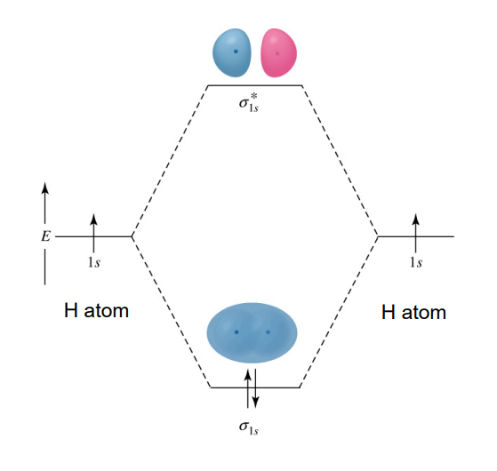 <p>Specified similarly to atomic orbitals</p><p>Example: H₂ - 1σ<sup>2</sup></p>