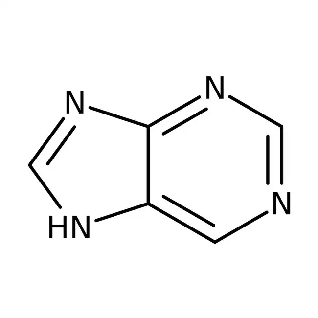 <ul><li><p>purines have nine atoms constituting its two rings, numbered 1-9</p></li><li><p>nitrogen in the larger ring furthest away form the smaller ring is nitrogen 1 </p></li><li><p>nitrogen in the smaller ring is connected to carbon 5 is nitrogen 7 </p></li><li><p>nitrogen in the smaller ring without a double bond is nitrogen 9 </p></li></ul><p>the above is true at least for the two common purines used in the central dogma </p><p></p>
