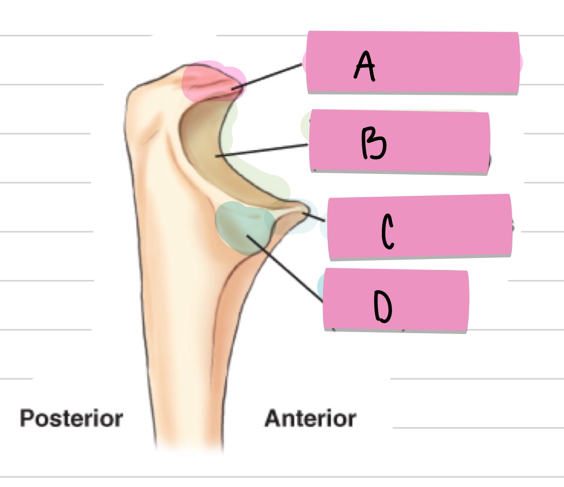 <p>what is C?</p>