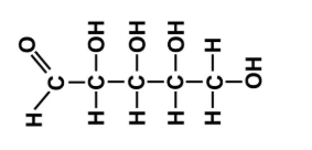<p>What is the macro melecule</p>