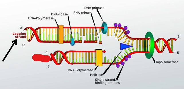 <p>Built continuously</p>