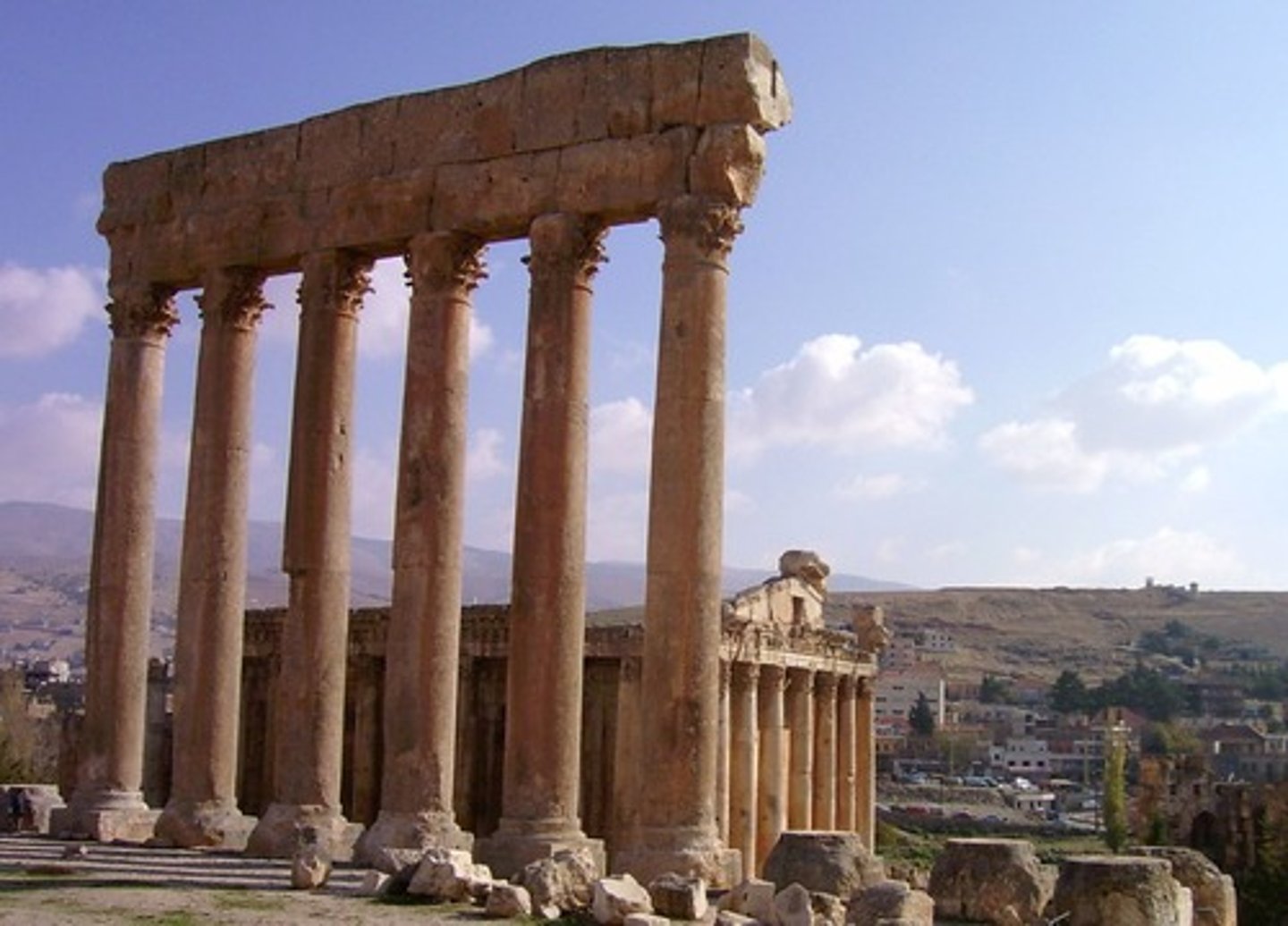 <p>(n): di sản</p>