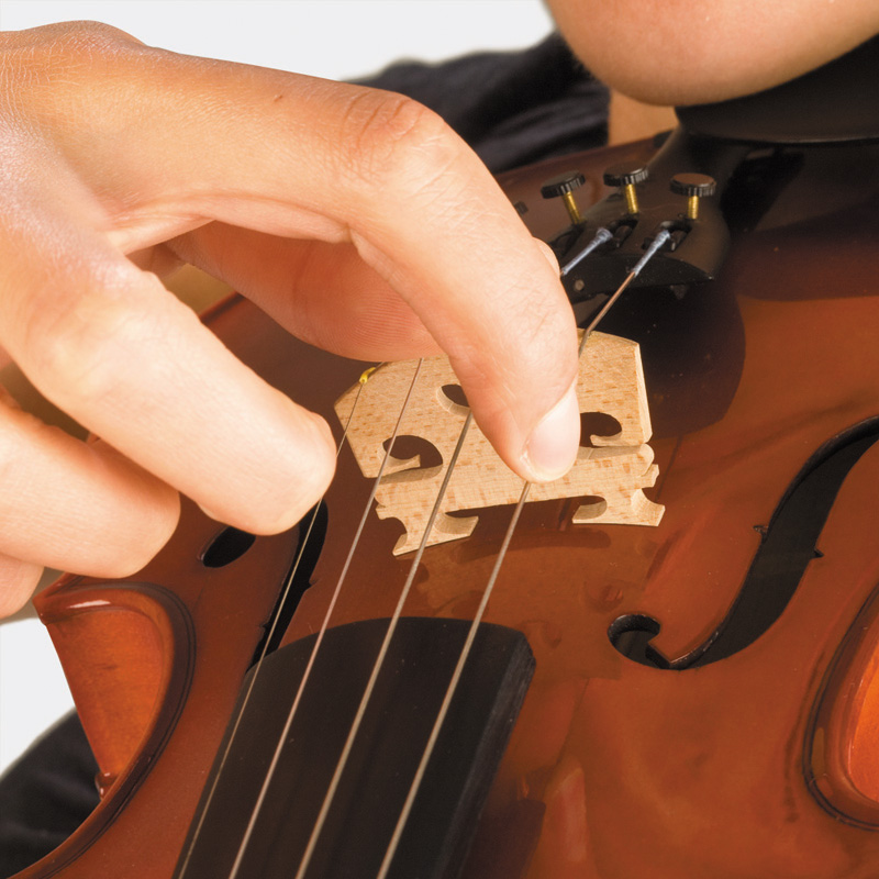 <p>Pizzicato</p>