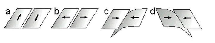 <p>Which of the images below best represents the plate boundary between the North American and Pacific plates along the San Andreas Fault? </p>