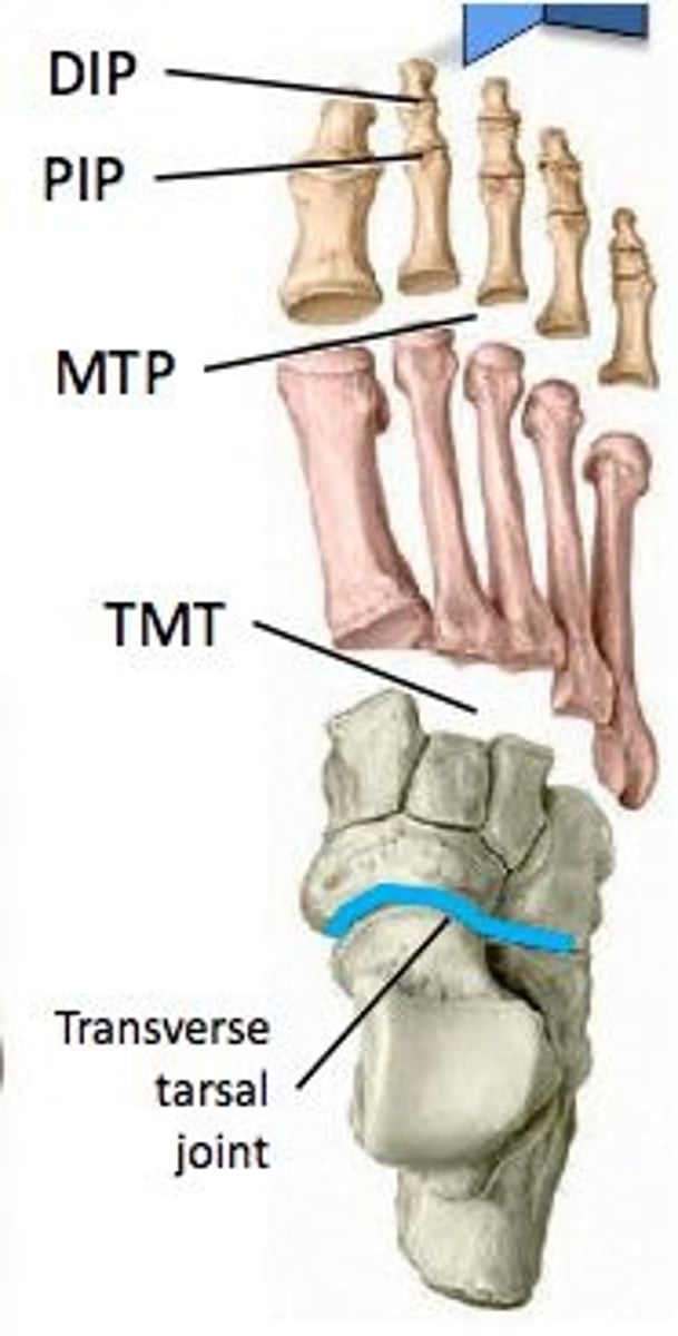 <p>Same roll and glide</p><p>To improve joint arthrokinematics perform:</p><p>Anterior for extension</p>