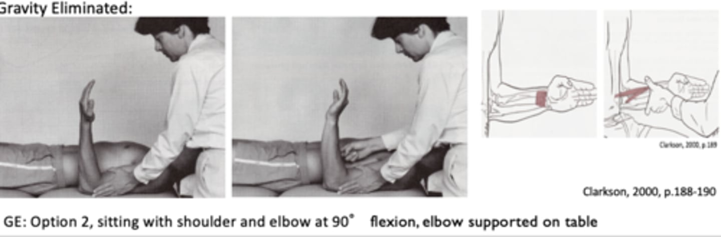 <p>Patient Position: Supine with elbow flexed to 90 degrees</p><p>Palpation: Pronator teres at proximal aspect of radial forearm</p><p>Compensations: Shoulder abduction, shoulder internal rotation, &amp; contralateral trunk flexion</p>