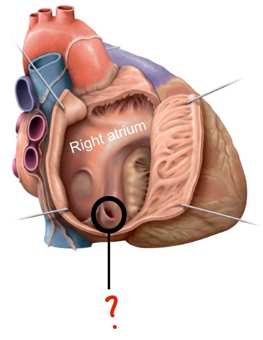 <p>What is this?</p>
