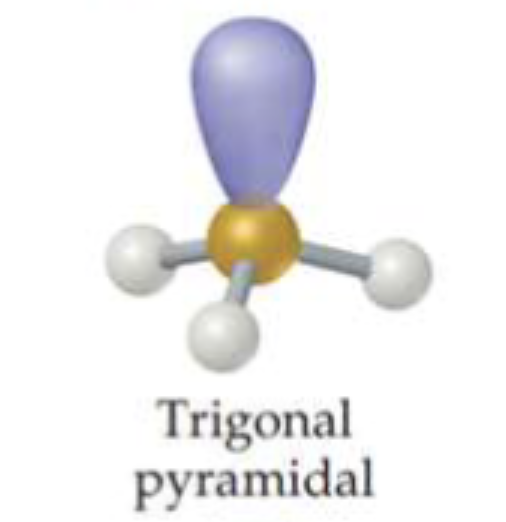 <p>triagonal pyramidal</p>