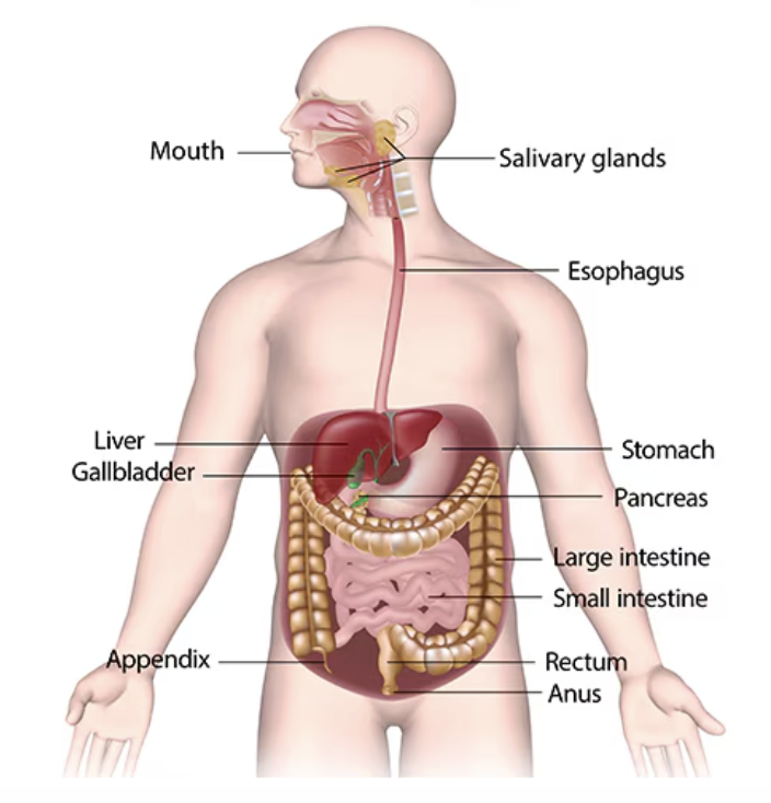 <p>What’s this</p>