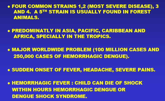 Flavivirus: Dengue Virus