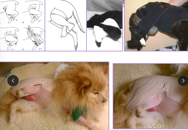 <p><span style="background-color: transparent;"><strong>Ehmer Sling</strong></span></p>