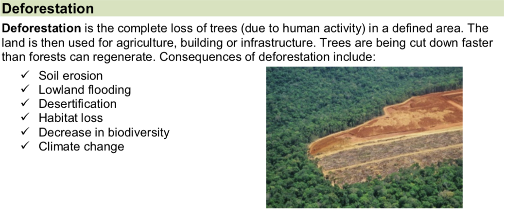 <p>Timber is used for building, fuel, paper and packaging.</p>