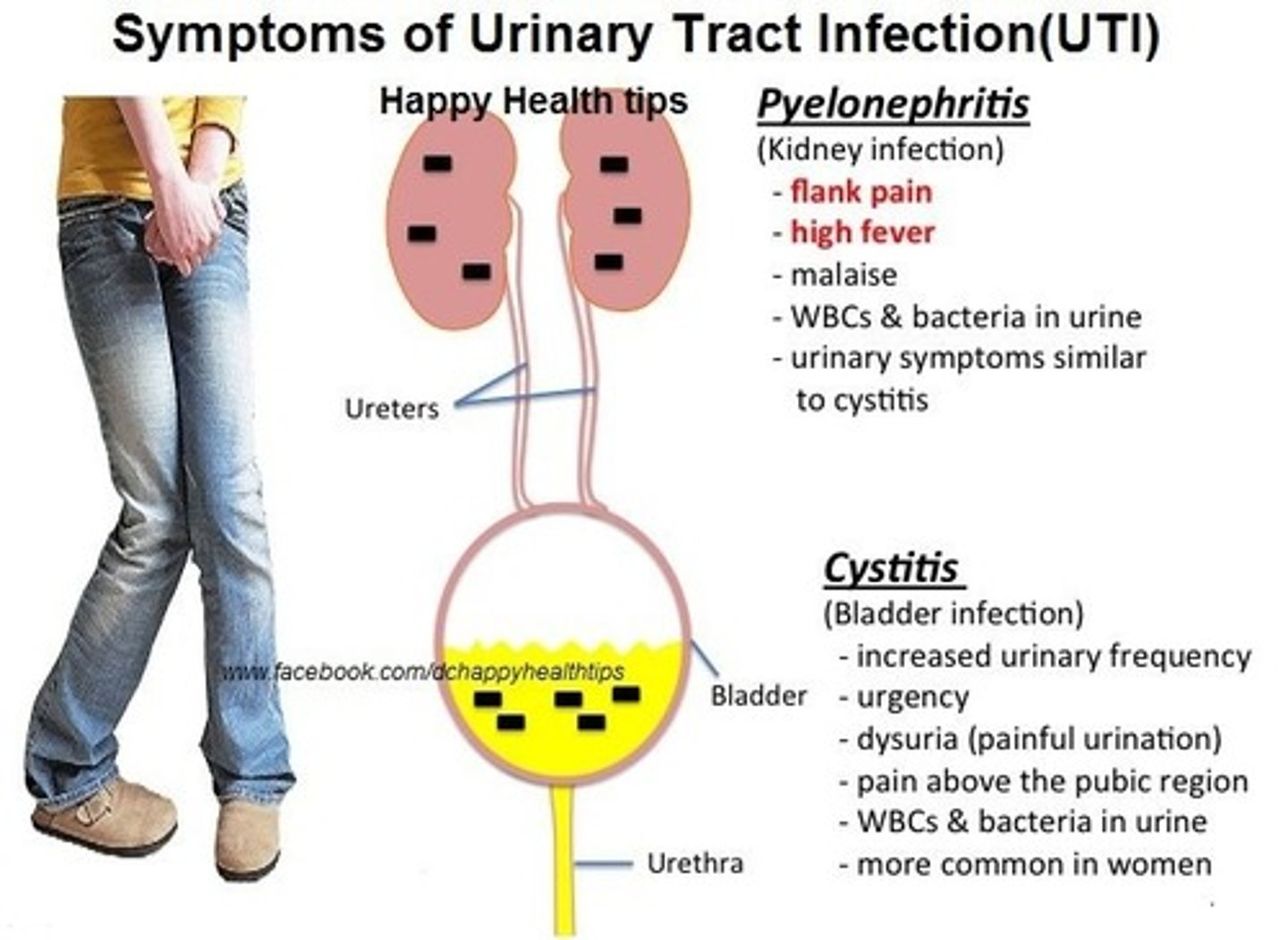 <p>Urination, urine condition</p><p>Ex: dysuria, anuria</p>