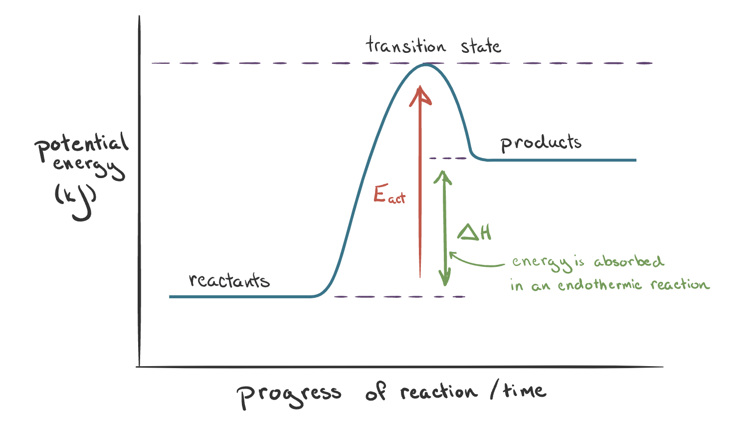 <ul><li><p>Energy is absorbed by substances (reactants) from surroundings:</p><ul><li><p>The enthalpy of products &gt; reactants</p></li><li><p>∆H is positive (arrow points upwards)</p></li></ul></li></ul><p></p>