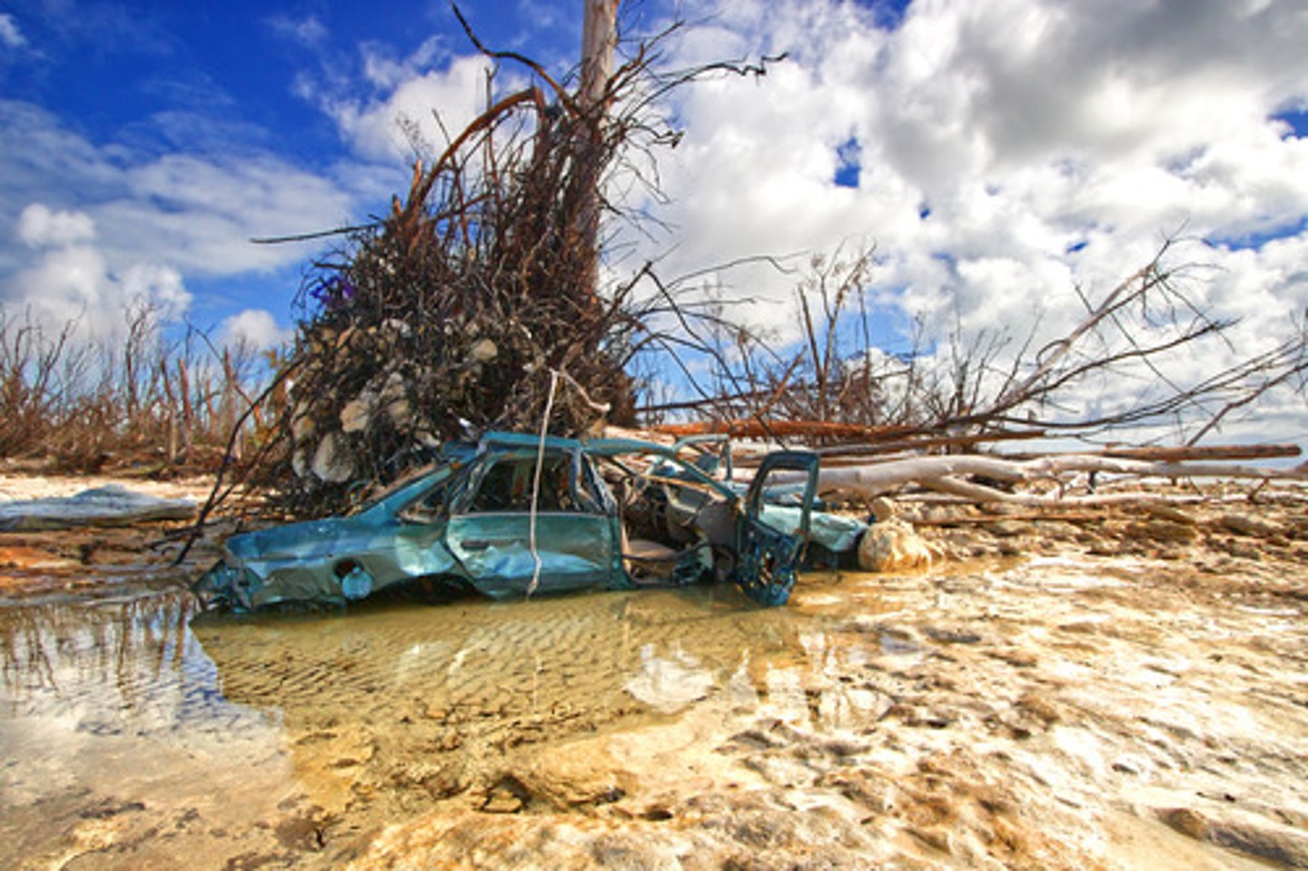 <p>gây tàn phá, phá hủy / quyến rũ (tùy ngữ cảnh), EX: The flood had a devastating impact on the region.</p>