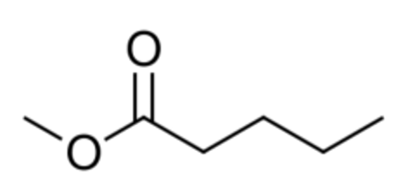 <p>what is the common name of this molecule</p>