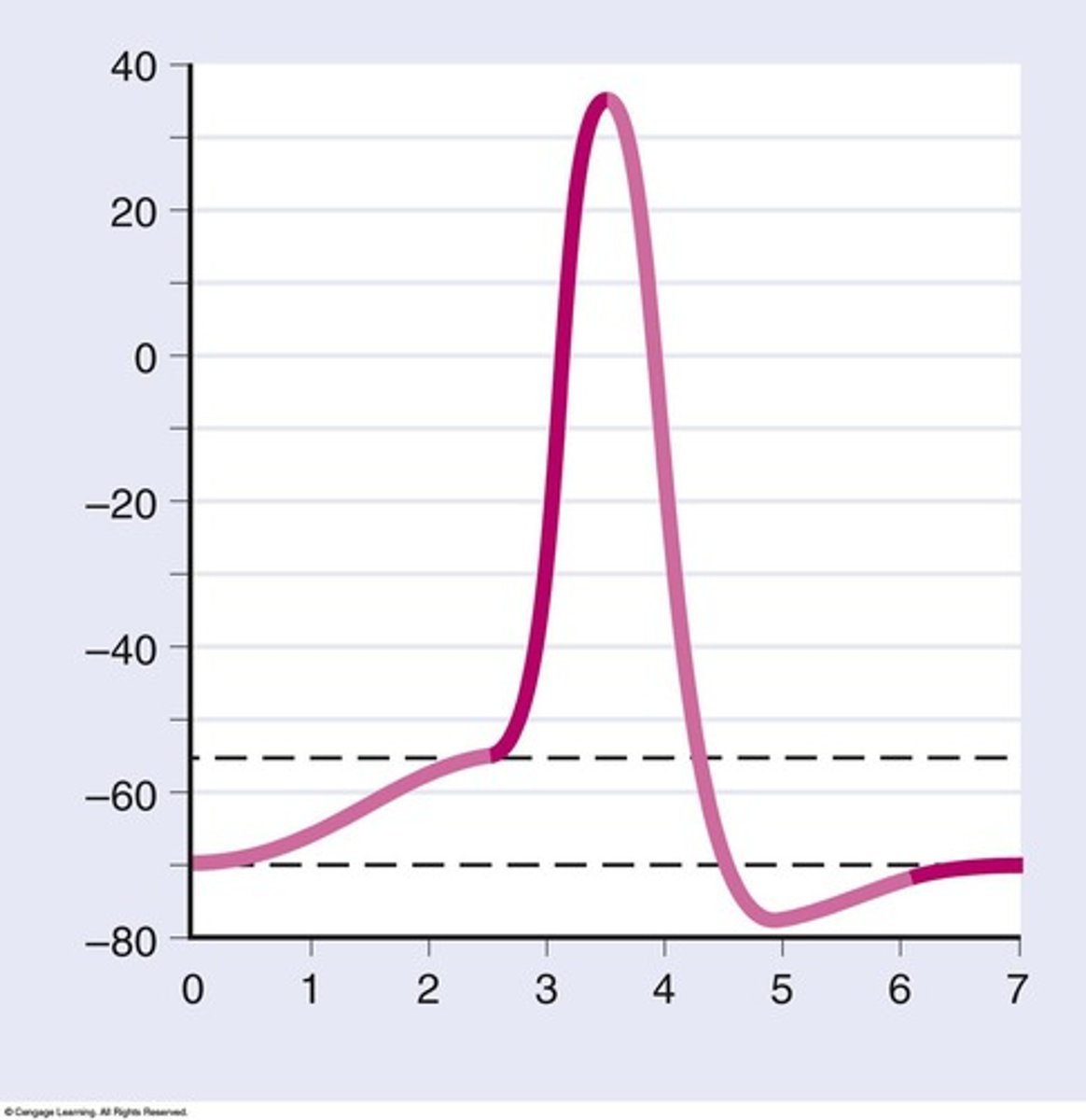 <p>A rapid change in membrane potential that propagates along the neuron.</p>
