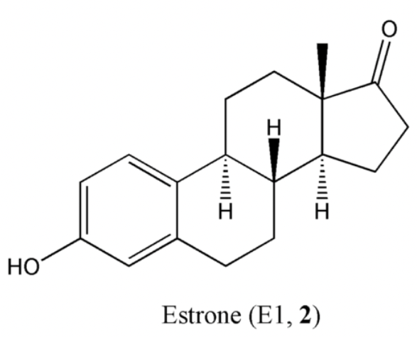 <p>and converts to progesterone</p>