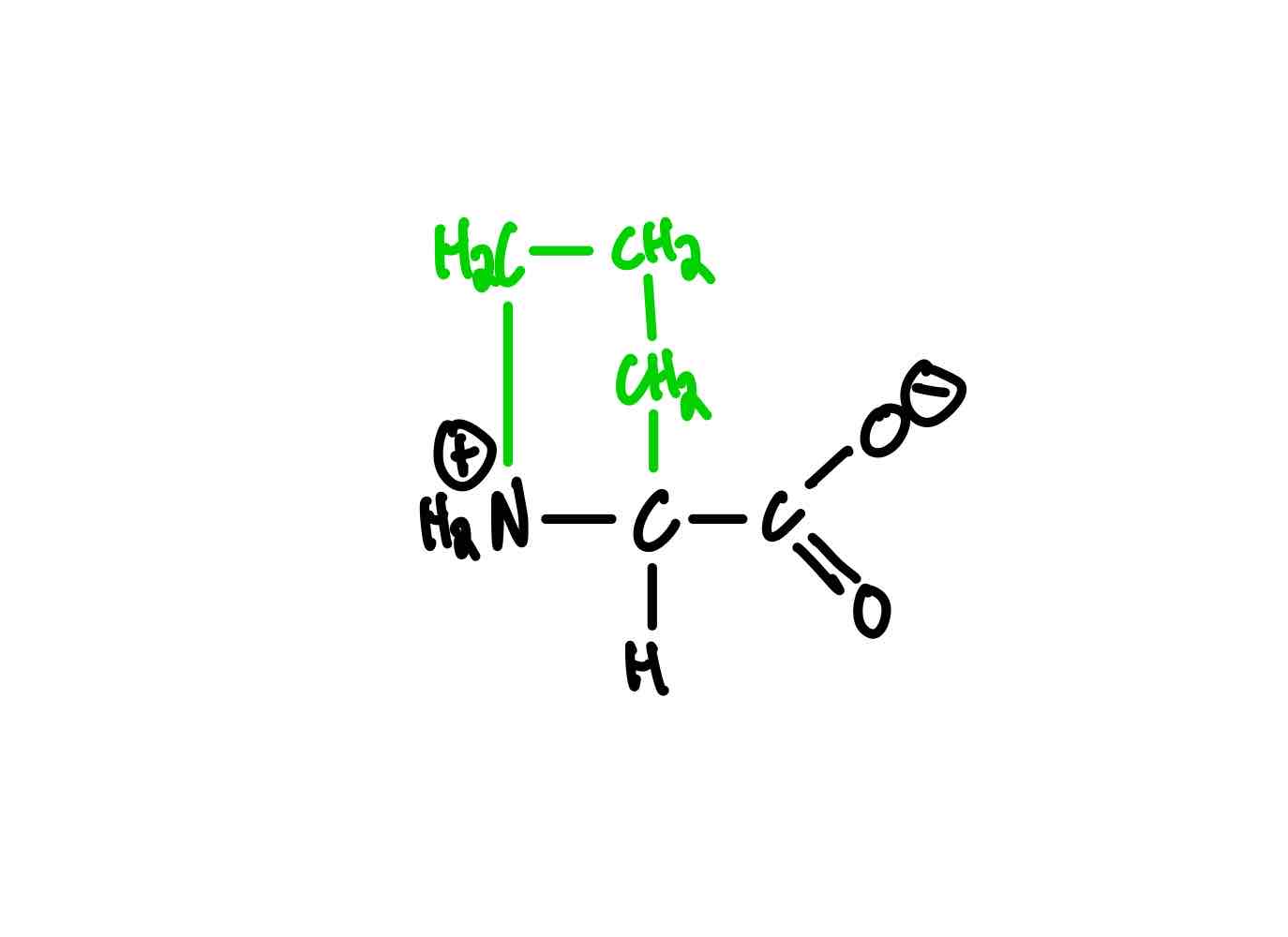 knowt flashcard image