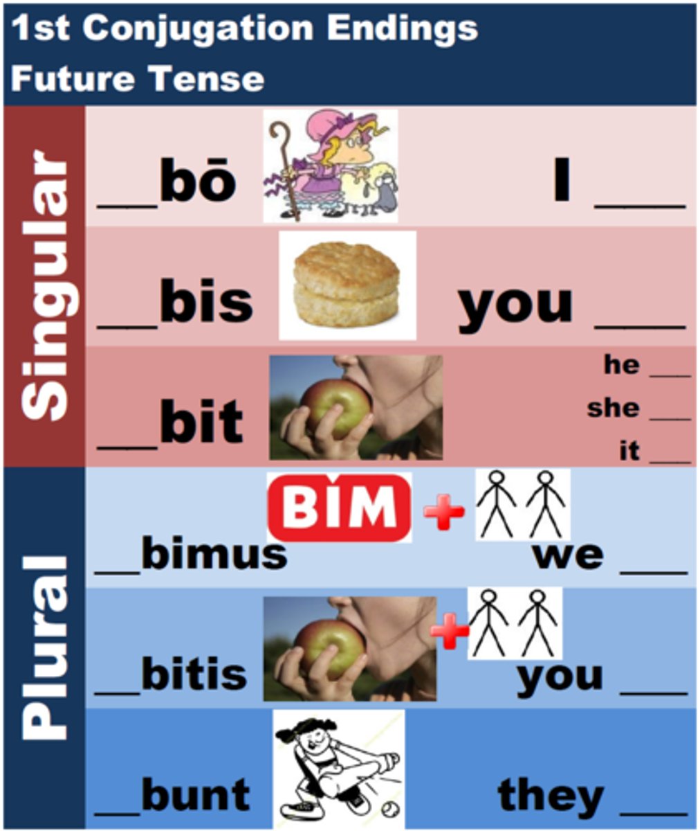 <p>bō, bis, bit, bimus, bitis, bunt</p>