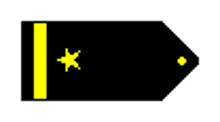 <p>Gold embroidered five-pointed star</p>