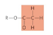 <p>name this functional group</p>
