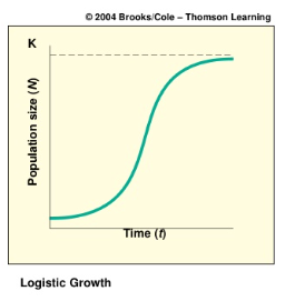 <p>Describes a generalized response of populations that starts with exponential growth and levels off at carrying capacity.</p>