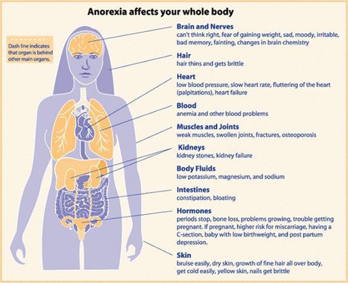 <p>Disorders related to unhealthy eating patterns.</p>