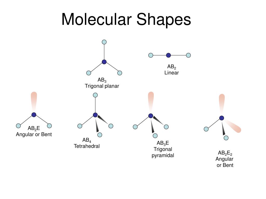 <p>Linear, Angular, Pyramidal, Tetrahedral</p>