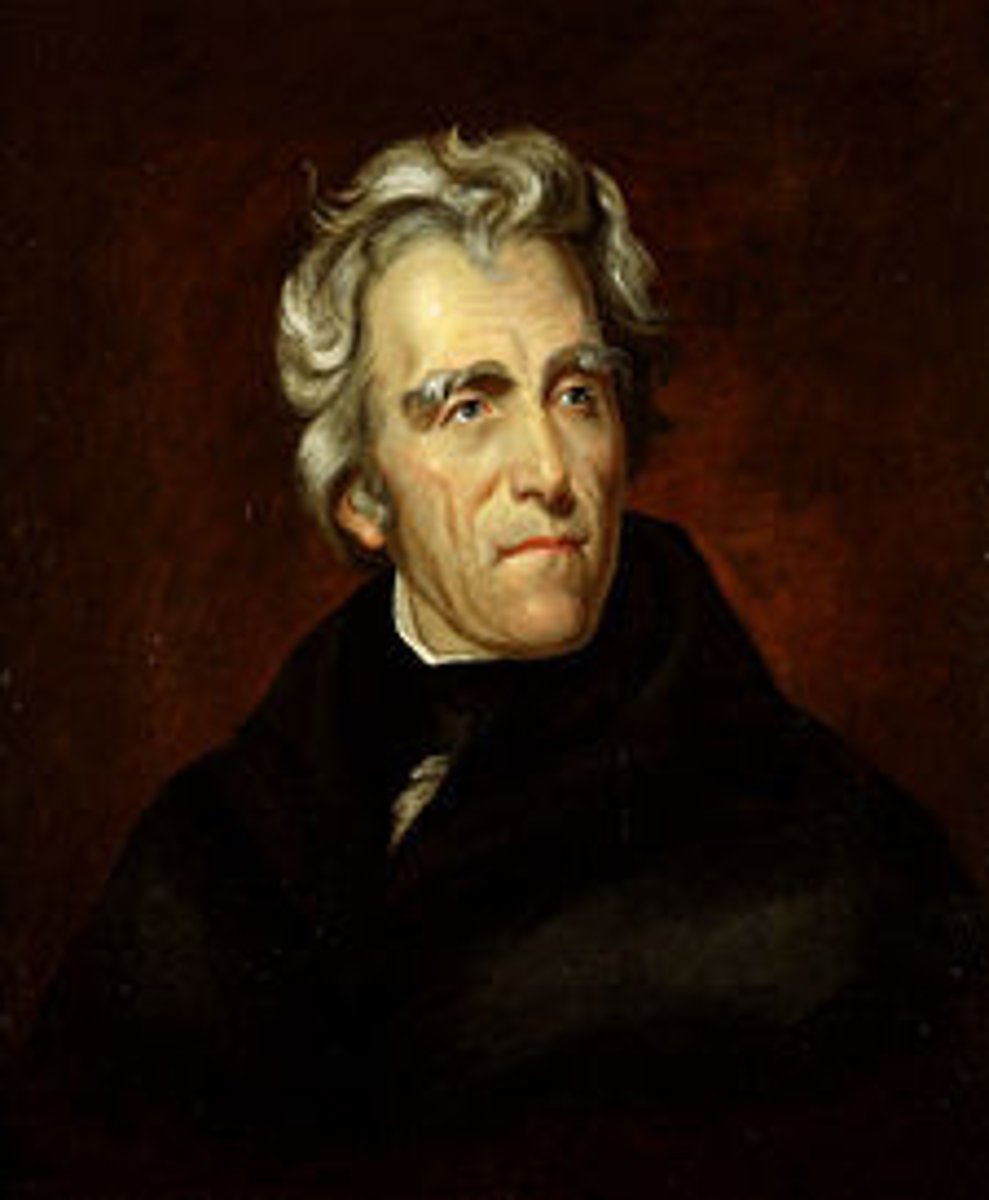<p>The seventh President of the United States (1829-1837), who as a general in the War of 1812 defeated the British at New Orleans (1815). As president he opposed the Bank of America, objected to the right of individual states to nullify disagreeable federal laws, and increased the presidential powers.</p>